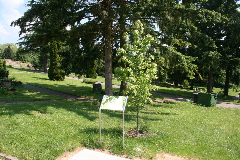 Urnengemeinschaftsbaumgrab Ensheim
