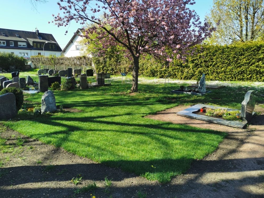 Ab sofort stehen auf dem Friedhof Bübingen in U 12 weitere 48 Urnengemeinschaftsbaumgrä-ber an einer Zierkirsche zur Verfügung (vier Quartiere mit je zwölf Gräbern). Die Markierung der Quartiere, sowie das Einrichten einer vorläufigen Blumenablage erfolgt